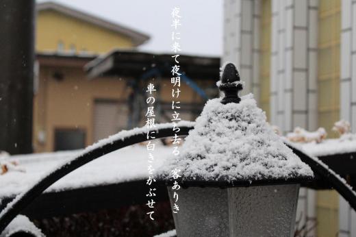 今年初めて積雪を記録しました 同級生の句集に「夜半に来て夜明けに立ち去る 客ありき 車の屋根に白きをかぶせて」と詠んでいるのを見つけました まさにそんな情景が浮かぶ風景です 今日から大雪になりそうとの予報です/