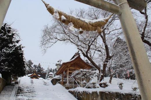 烏帽子山八幡宮の大鳥居がうっすらと雪をかむっています 全国的に大雪が報道され車の立ち往生が映し出されています 幸いにも南陽市は数センチの降雪ですが早く寒波が立ち去ってほしいです 「きびきびと万物寒に入りけり」(俳人富安風生)朝日新聞 天声人語より /