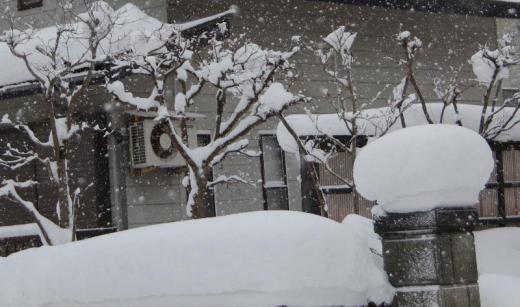 今朝はこの冬一番で30センチは超える積雪となりました 昨日の朝は気温も下がり木々には霧氷がついていて花がさいているように朝日に照らされて輝いていました まさに方言でカンジルという言葉で表現される寒さでした 今朝の気温が氷点下6度でこれまでは雪の少ない冬ですが冬の最も寒くて雪の多い時期がこれからです 今も雪が降っていますどのくらい積もるのでしょうか/