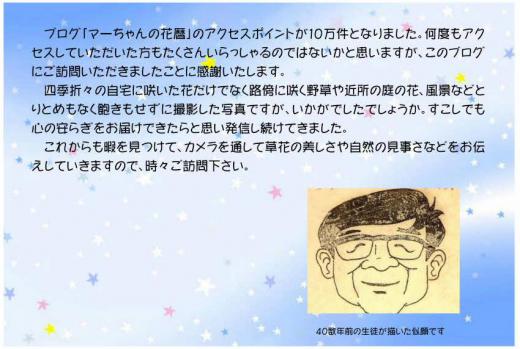 「マーちゃんの花暦」のアクセスポイントが10万件を突破しました。パチパチパチ この歳になってもわずかでも南陽市の魅力の発信に役立っているのかなあとうれしくなりました これからも南陽市の魅力をレンズを通して草花や風景を追い求めていきたいと思います/
