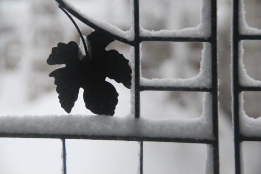 ようやく雪も峠をこしたのでしょうか 日が差してきました 雪にキラキラと反射しまぶしいぐらいの白い雪が一面に覆っています 「窓雪3日」といいますが雪も止み一息つけそうです/