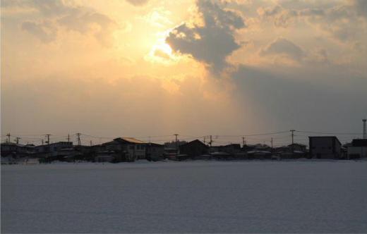 昨日の夕方久しぶりに夕焼けを見ました だいぶ日が長くなり春が近づいていることを実感しています 我が家で一番最初に咲くクロッカスが緑の芽をだしました 鮮やかな黄色や紫の花を咲かせるのはいつになるのでしょうか/