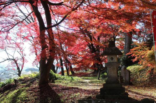昨日は好天に誘われて烏帽子山公園に登ってみました 木々の葉はまもなく落ちそうで色づいています 木々に葉がついていない寂しい風景がまもなくやってきます/