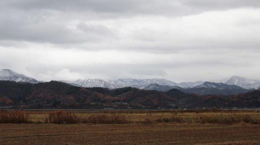 朝から冷たい雨模様です 季節は秋と冬の間を行たり来たりしています 周りの山々も紅葉から白い雪になりました 田んぼが一面真っ白になるのもまもなくです/