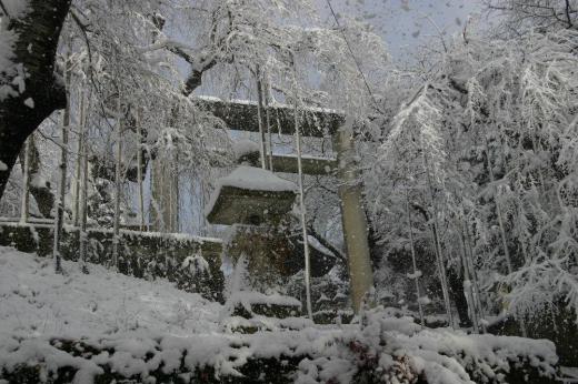 明日は大みそか 残すところあと1日で新しい年を迎えます 烏帽子八幡宮は元日を前にまだひっそりとしています 31日、元日と大荒れの予報が出ています 冬って間違いなく訪れるのですね 皆さんもうお正月の準備はお済でしょうでしょうか /