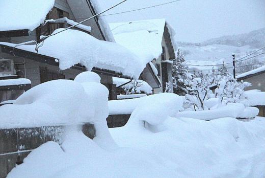 昨日から今日にかけて5回目の雪かきです 肩や腰がいたくなり老いをかんじています 今日は青空も見え雪も一休みですがまた明後日あたりから大雪の予報がでています まだ1月半ばですからこれから1か月は雪との闘いです うんざりしています/