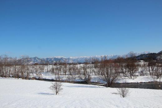 昨日今日は大雪も一休み 気温は決して高くありませんが雪が止んでくれるだけでもホッとします 晴れてくれればいいのにと願い晴れの時に撮った風景をアップします/