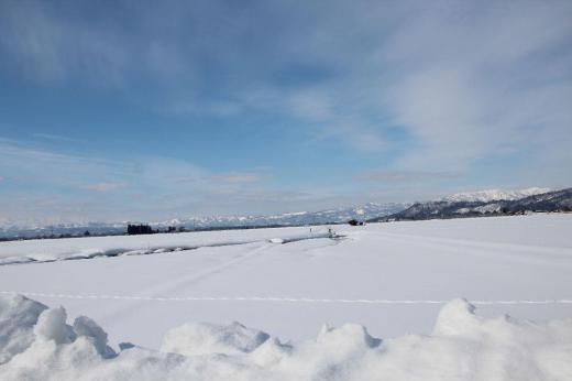 昨日からまたチラチラと雪が降ってきました 一昨日までの晴れはどこにいったのでしょうか 昨日に引き続いて一昨日撮った雪に覆われた飯豊や朝日です 青い空に白い絵の具で描いたような雲だけ見ると冬ではないような風景です/