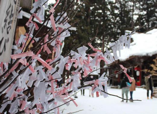 熊野大社で厄払いのご祈祷してもらってきました 冬の雪も少し落ち着いてきたこともあるのでしょうか参拝者やご祈祷に参加する人もちらほらと見られました オミクジの白やピンクが花を咲かせたように木の枝に結んでありました なんとなく春を感じる風景です。/