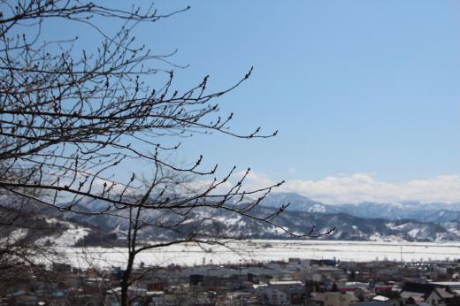 真っ青な空 残雪の山々 田んぼに残る雪 回りの風景は間違いなく春に近づいてきています 桜の蕾はまだまだ固そうですが烏帽子山公園桜まつりの開園式が4月8日に行われます いよいよ桜祭りがはじまります /