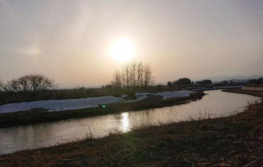 今朝は朝から雨が降っていますが昨日は暖かかったですね 吉野川べりを散歩しましたがつくしが芽をだしているのを見つけました 昨日のフキノトウとつくし 春を代表する野草が出そろいました あとは桜だけですね/
