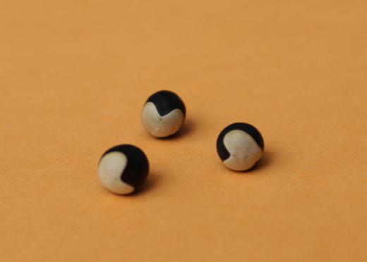 変わった種の「フウセンカズラ」が今年も実をつけ種を採取しました 黒い種の表面にハートに見える模様が描かれいます さわやかな緑色の実をつけ枯れてくるとその実の中に2個から3個の種をつけています つる性の茎がどんどんと伸びてそこにたくさんの風船のような実をつけます /