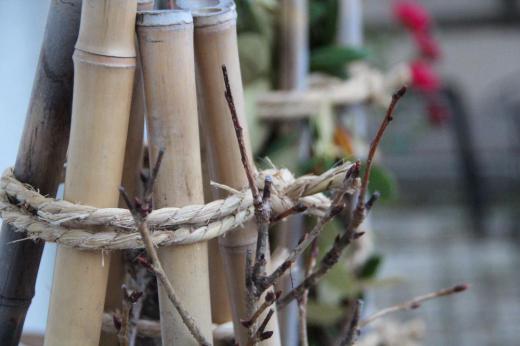 今朝の外の気温が1度ととても寒い一日のスタートです 雪の季節を前に雪囲いが始まりました 気持ちは冬を迎える準備です ドウタンも真っ赤に色づきまもなく落葉します/