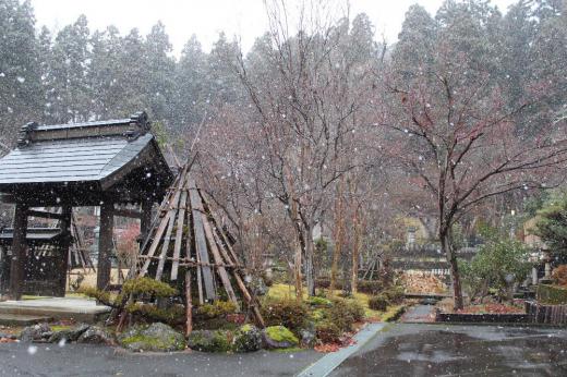 今朝の気温が現在氷点下5度と寒い朝です 昨日例年よりはちょっと遅い初雪が降りました 積もるまでにはなりませんがいよいよ冬到来となりました 寒そうに震えているような水子地蔵を薬師寺でみてきました 厚い防寒具をまとった地蔵にも雪が舞い降りてきました/