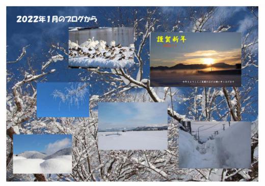 今年も残すところ半月をきりました 「マーちゃんの花暦」には花ではなく雪の風景になりました 今年1年のブログを1か月ごとにちょっと振り返ってみます。 大雪の1月でした/