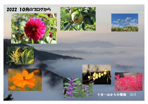 「2022 10月のブログ」から 木々の実や果物が実り周りが秋色になってきました 今年も大雨で川西町や飯豊町では川の氾濫で「ダリや園」が壊滅的な被害を受けましたが多くの人々の力で開園できたことが思い出されます /