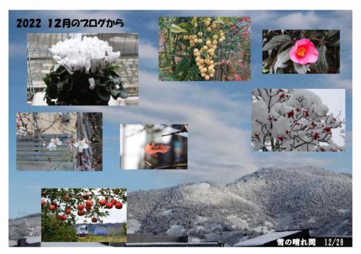 「2022 12月のブログ」から 12月の前半は桜も紹介し12月の半ばごろの会話「お正月まで雪が降らないといいね」との願いもむなしくクリスマス寒波と間違いなく今年も雪が降りました あっという間に雪が積もり雪との闘いが始まりました いよいよ明後日はお正月です/