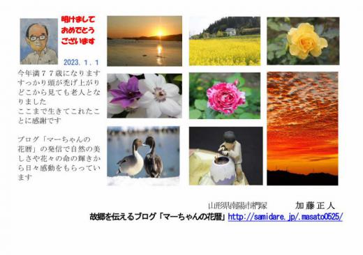 A Happy Newyear 新しい年2023年がスタートしました 今年こそコロナ退散 自然と調和し穏やかな そして健やかな1年でありますように/