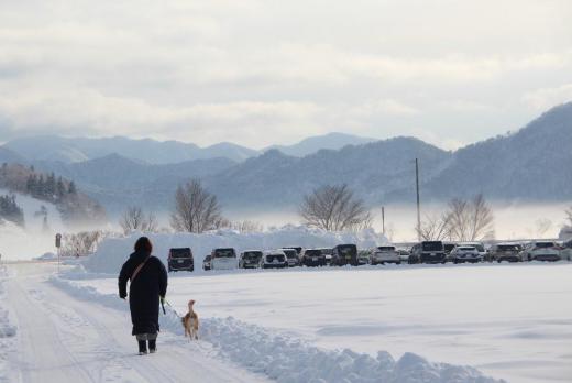 大雪も一休みでしょうか朝から陽が射しています 青空も見え気持ちよさそうに犬を散歩させている女性に出会いました 遠くの山並みの下には霧が立ちこみ早春を思わせる風景です 終末にはまた寒波が来るとの予報です 春までもう少し時間がかかりそうです/