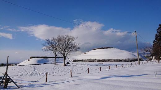 雪も峠をこしたのでしょうか 昨日は散歩していると汗ばんでくるような陽ざしでした 真っ白な稲荷森古墳 一面の銀世界の冬の田んぼ 水辺に白鳥も姿を見せている吉野川 どれもが春や夏とは別の顔をみせています 今年は雪が少なくて喜んでいるのは私ばかりではないのかも/