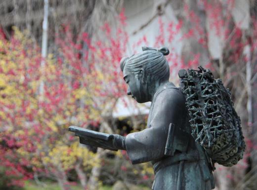 梅の花のそばの二宮金次郎の銅像をみてきました どこの小学校にでもあった銅像ですが今の子ども達は全くわからないだろうとと思われます いったい何歳以上の人がわかるでしょうか 母校の校庭に建立されていた懐かしい銅像を思い出します/