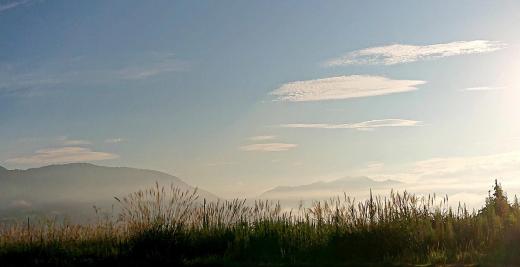 深い霧に覆われていましたがようやく晴れて今日も暑い日になりそうです 昨日の朝の写真です 東の山並みが白み太陽が昇り 高い空 薄くはけでなぞったような雲 山を包むような霧 どれもが秋を伝える風景です 日中は相変わらず暑いのですが朝晩はようやくしのぎやすくなってきました 秋は駆け足でやってきそうです/