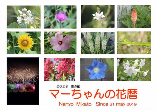 表紙の写真を「夏の花」に変更しました 暑い夏でしたがそれでも草花は何も言わずにその美しさを見せてくれました 癒される花にありがとうを/