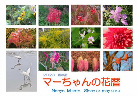 昨日こよみの上では「立冬」で冬の足音が聞こえてきそうな日となりました 全国的にはまだまだ暑い(?)が続いています 咲いている花を伝えるこのブログ紹介できる花がだんだん少なってきました 冬を迎えようとする今 今年撮った秋の花や風景を選びまとめてみました このブログのトップの夏の花と比べてみてください やっぱり秋ですね/