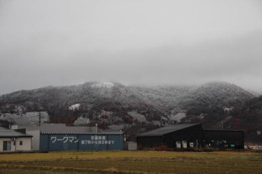 いよいよ明日から師走12月 今朝窓から見える山が雪をのせています 孫が「ちょんまげ山」と呼んでいた十分一山 恐竜山と呼んでいた十分一山と連なる山で恐竜の姿が見える山腹も白く雪が見えくっきりと恐竜の姿を確認することができました 12月を前についに雪がふりましたねえ /