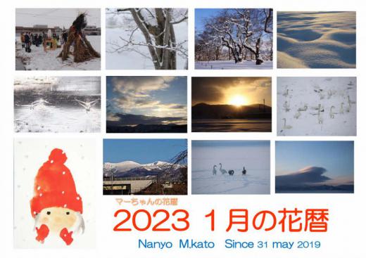今年もあと17日で新しい年が始まります 2023年この1年間を振り返り1月から12月まで12回にわたって私の気に入った画像を紹介します 皆さんもこの1年間を思い出してみてください 1月は全く草花を紹介できませんでした 雪との闘いの月でした/