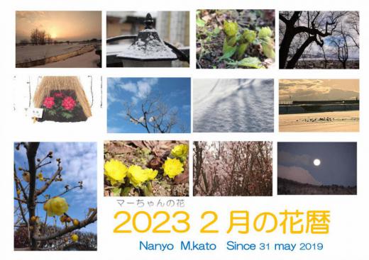 今日の花暦は「2月」です 天気予報では明日から雪がふりそうですが 今年の2月は雪解けも進みブログで紹介する写真も1月と違ってようやく花が見られるようになりました 啓翁桜 冬ボタン 雪の消えた土手に福寿草などモノクロの世界からようやく様々な植物が芽をだし花が咲き始めます 色もどちらかといえば淡い黄色やピンクの花が目立つようになるのが2月です/
