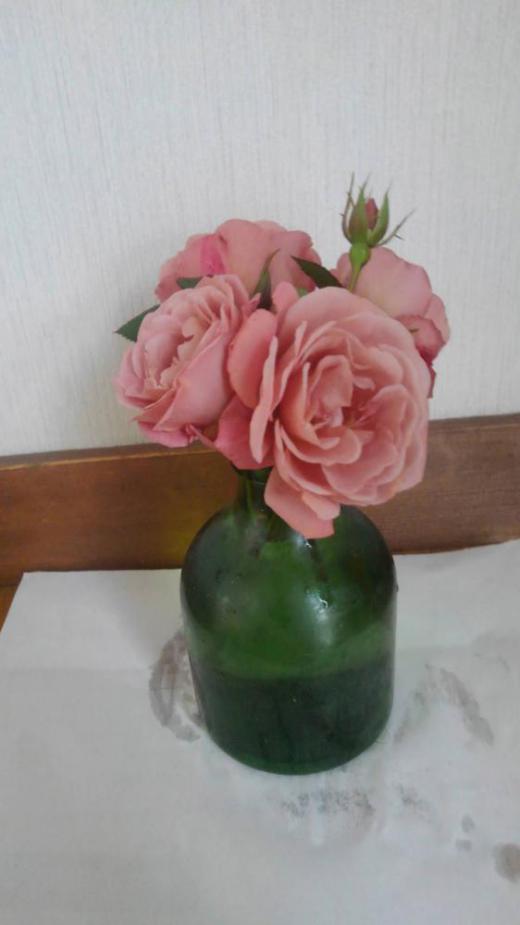 花暦にアップする花がないとお知らせしたところ訪問者から「デディベア」というバラを投稿していただきましたチョコレート色から赤に変わるのだそうですが、室内に置いてあるのでシックな色で楽しませてもらっているとのことです ありがとうございます/