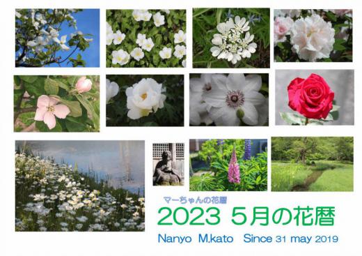 「2023 5月」の花暦です 新緑が眩しい季節で様々な花が咲き誇る5月です たくさんの花をこの花暦で紹介しましたので選ぶのが難しくなるほどたくさんの花が咲いていました さわやかな季節、一斉に木々の目がふき花が咲きほこる5月です/