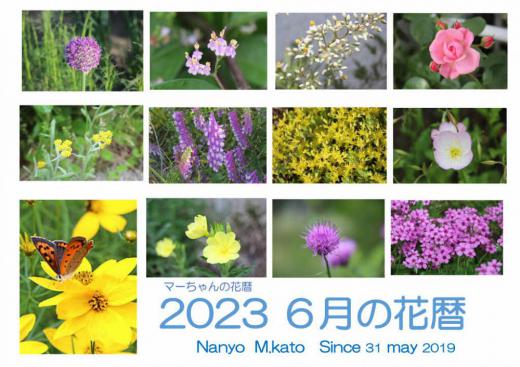 史上最も暑いといわれた夏のはじまりです「2023年 6月の花暦」も白っぽい色から濃い黄色や紫色の花が目に付くようになり始めます いろいろな花がいたるところに咲き始め紹介しきれないほどの季節が6月でした その中から12枚を選んでみました どれも季節を代表する花になりました/