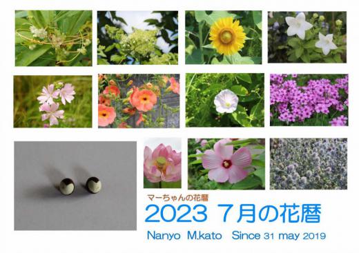 これまでにない暑い日が続き40度近い日もありました 今年7月に行われた東京オリンピックはまさに暑さとの闘いであり 競技者にとっても観客にとっても大変な夏でした その暑さに負けず様々な花が咲き誇りました あんなに暑くとも植物は育つことがよく分かった夏でした/