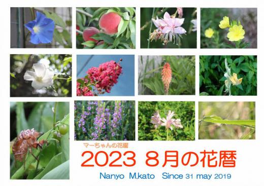暑さが徐々にやわらぎ秋の風景も少しずつ感じられるのが8月ですが今年はいつになったら秋がくるのだろうと思っていました ですがセミの抜け殻を見つけたり秋を感じさせる夜露にぬれた草花も見えはじめました そんな風景とはうらはらに暑い日が続いた8月でした/