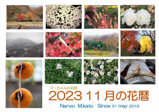 すっかり秋の装いとなった周りの山々は黄色や紅く色づき秋真っ盛りの季節です「2023 11月の花暦」はそんな風景や草花を伝えてきました 雪を見始めるのもこの季節です いよいよ冬を迎える準備が始まるのもこの頃です/