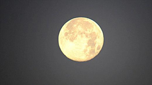 日の出前の朝焼けの西の空に満月に近い月が輝いていました 月齢は15.1日 今年最後の満月の後の一夜で快晴の空にぽっかりと浮かんでいました この時期に満月の月が見れると思いませんでしたので思わずシャッターをきりました/