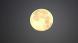 日の出前の朝焼けの西の空に満月に近い月が輝いていました..：2023/12/28 09:00