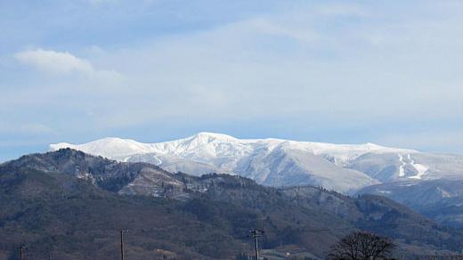 全く花を見ることができなくなった1月ですが吹雪ではなく陽の光をあび雪を抱いた山並みをみることができ雪の降らない毎日に感謝しています 遠くに蔵王の山並みとスキーコースらしき様子も見え きっとスキーコースからは山形の街並みや月山などもみることができるのでしょうか 今日は曇り時々雪の予報でしばらく雪模様の天候となるようです/