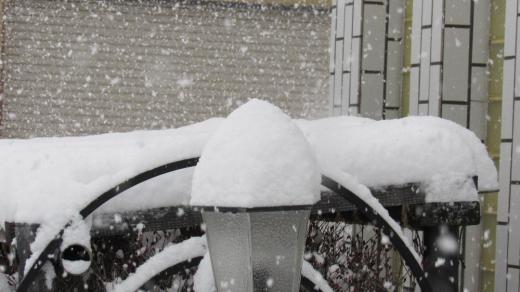 昨夜からの雪は心配したほどではなかったのですが今朝になって強く降り始めました 今冬初の積雪となり根雪となりそうです 明日からは少し穏やかになりそうですがこのまま雪の少ない冬をと願うのはわがままでしょうか/