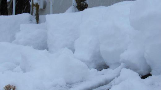 今年初の雪かきを行いました 雪国に住む宿命でしょうが老いた身にはこたえる作業です ドウタンを被った雪囲いの上は約30cmで根雪となるのでしょうか 雪がきれいなものも汚れたものも全て覆い隠し銀世界の姿に変えてしまいました 今も降り続いています/