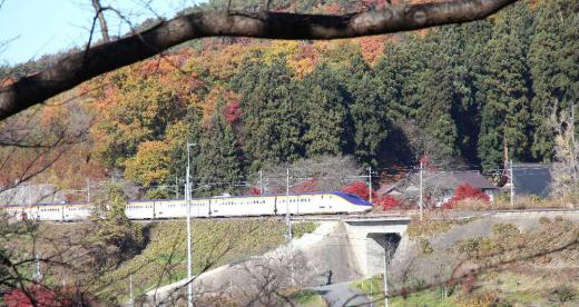 山形新幹線の列車が紅葉の山を走り抜けていきました 桜の中を走る列車を撮ったことがあり紅葉の中を走る列車も撮りたいと出向いたのですがすでに桜の葉は全て落ちてしまい葉のない枝の間を走る列車となりました あっという間でシャッターチャンスを逃すとまたしばらくじっとまっていなければならず春と違って寒い季節の撮影は楽ではありません/