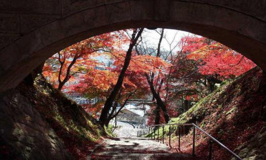 「幸」に「寿」と書いて「幸寿橋」が烏帽子山公園にあります なんと縁起の良い橋でしょうか この橋を渡ると幸せがくるのではと思ってしまします そこで見る紅葉はトンネルの先に幸せが見えるようでまさに絶景です 今朝も冷たい雨が降り寒くなりそうです 紅葉も見納めでしょうか/
