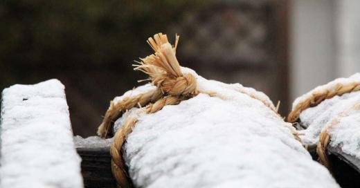 うっすらと雪が降り庭の雪囲いの縄にかすかに雪が積もっています「男結び」と言われる独特の縄の結び方はなかなか難しく特に左利きの私は右利きに教えてもらったの大変でしたがようやく上手く結べるようになりました 雪囲いは冬の風物詩であり芸術でもあるような気がしますが雪が降らなければこんなことをする必要がないのにと恨めしく空を眺めています/