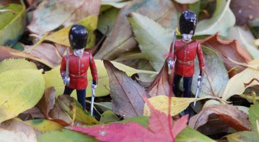 落ち葉の中を行進するイギリスの兵隊さんです 咲いている花が少なくなり落ち葉の季節になりました 花に代わって落ち葉や周りの風景しかカメラの被写体がなくなりました 落ち葉の中に小さな人形をおいて撮影してみました 秋を楽しむ写真の一枚です/