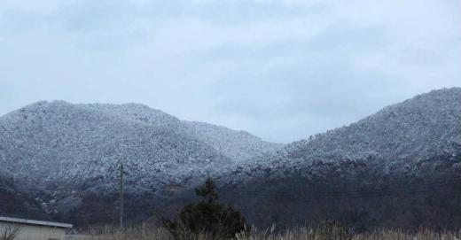 昨日夕方に撮った近くの山でうっすらと雪が積もり上半分は雪下半分は紅葉の晩秋の風景です 今朝起きてみると数センチですが雪が積もっていました 二十四節気の大雪が12月7日からでかなり積もるのではと心配しましたが思ったよりは少ない降雪でほっとしています でもいつ積もってもおかしくない季節になんですよね/