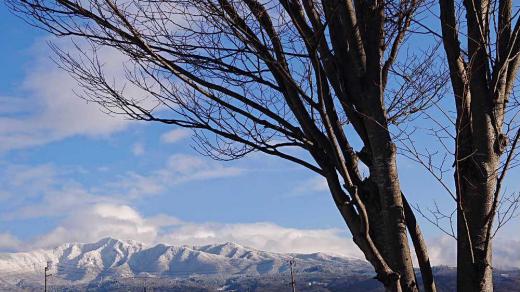 真っ白な山と青い空 昨日は全国各地で雪が降っていると報道されていましたが なんとわが山形県の内陸地方は冬とは思えない青空と白い雲、真っ白な雪の山に思わずカメラを向けました 雪が降らず晴れた冬は何か得したような気になってしまいます もうちょっと得した気分になりたいのですが今日もそんな日になるのでしょうか/