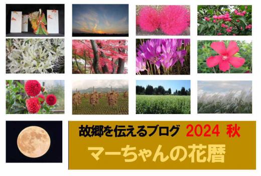 猛暑の夏が長く秋を通り越して冬がきたような今年でした 短い秋でしたが紅葉が鮮やかで烏帽子山公園の紅葉はひときわ紅く色づき多くの観光客が訪れた年でもありました 実りの秋ですが冬を前にした季節でありどこか寂しさを漂わせる風景でもありました/
