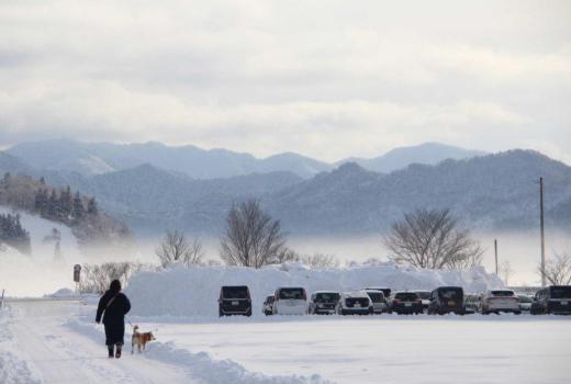 昨日までの雪が小康状態となり大湯も峠を越したのではと思われます 雪もあまり積もらずに青い空に陽も射し気持ちの良い朝を迎えました 明日から2月春までもう一息です/